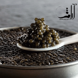 تخم-خاویار-بلوگا-اعلاء-50-گرمی