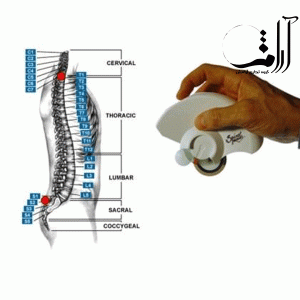 اسپاینال موس