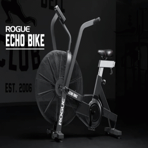 ایربایک باشگاهی برند ROGUE